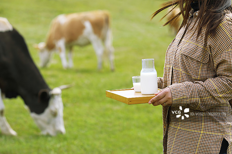 一个东方女人端着牛奶站在草原牧场特写图片素材