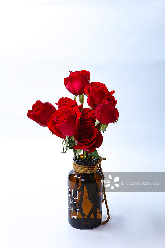 红色玫瑰花特写图片素材