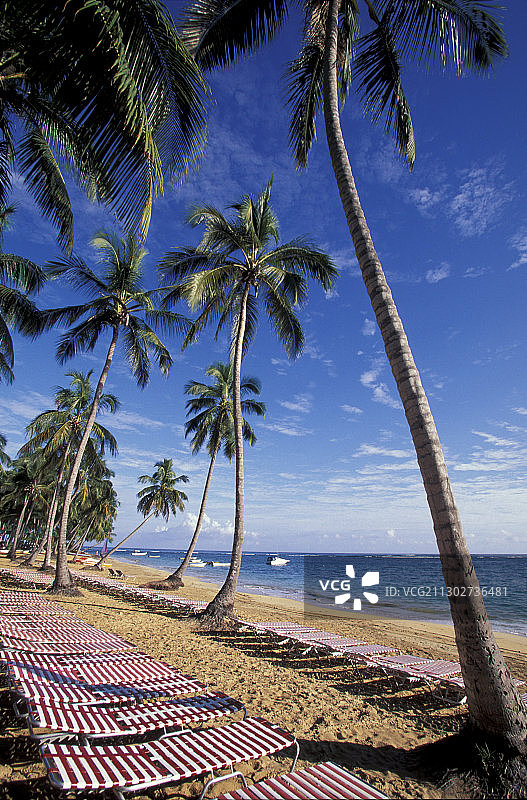 可可海滩，拉斯特雷纳斯，多米尼加共和国，加勒比图片素材