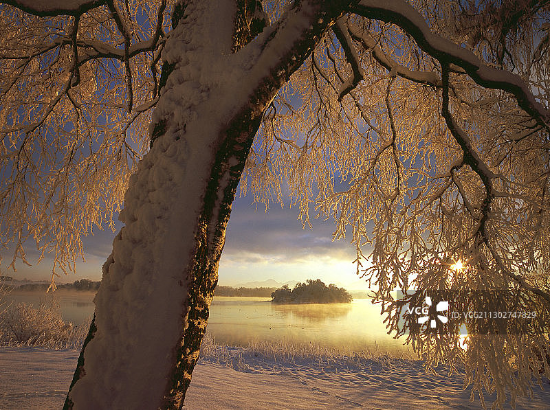 冰雪覆盖的景观，斯塔夫尔西，上巴伐利亚，德国图片素材