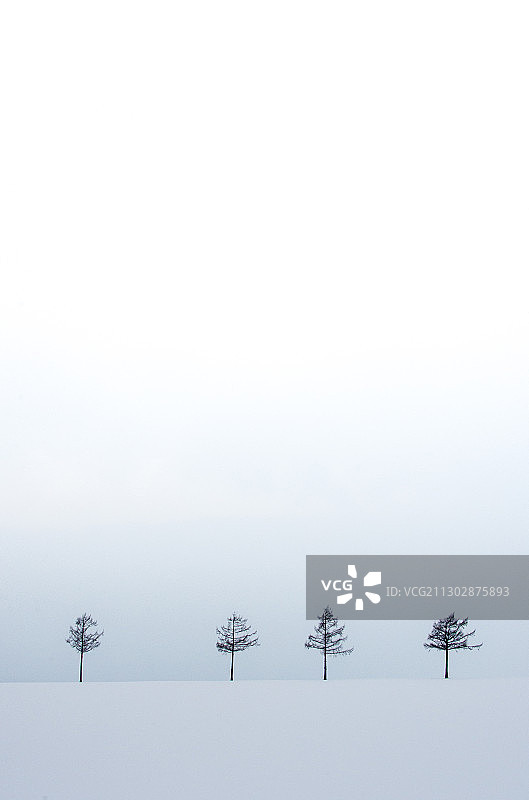日本北海道的雪图片素材