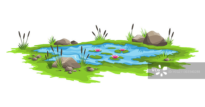 碧水池塘，周围有芦苇和石头图片素材