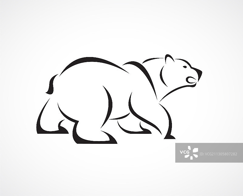 白底熊设计野生动物图片素材