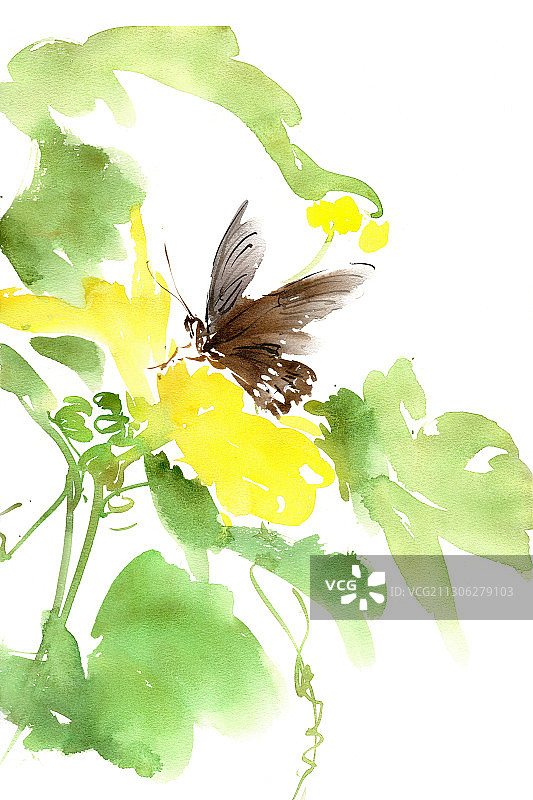 黄花与黑蝴蝶图片素材