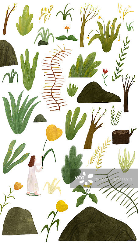 植物单独元素肌理插画图片素材