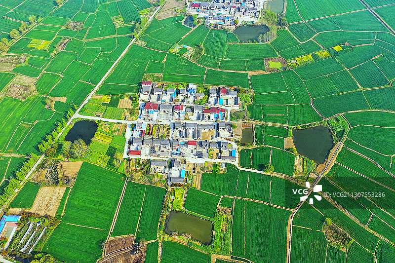南京六合区新农村的田园风光图片素材
