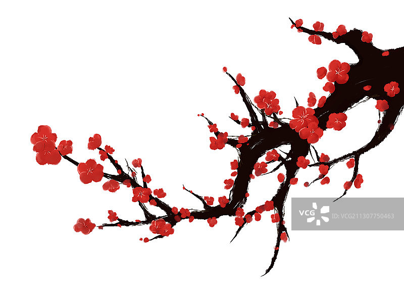 中国风古典红梅树枝插画图片素材