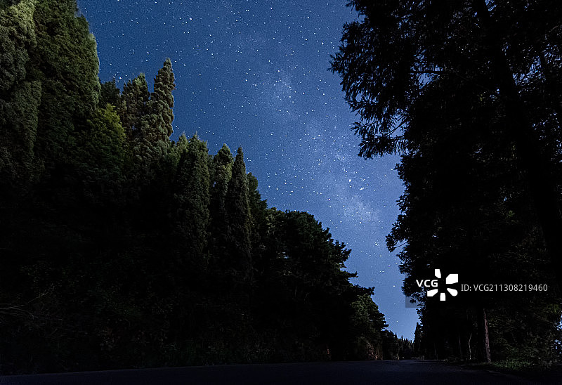 夜晚的树林与蓝色星空图片素材