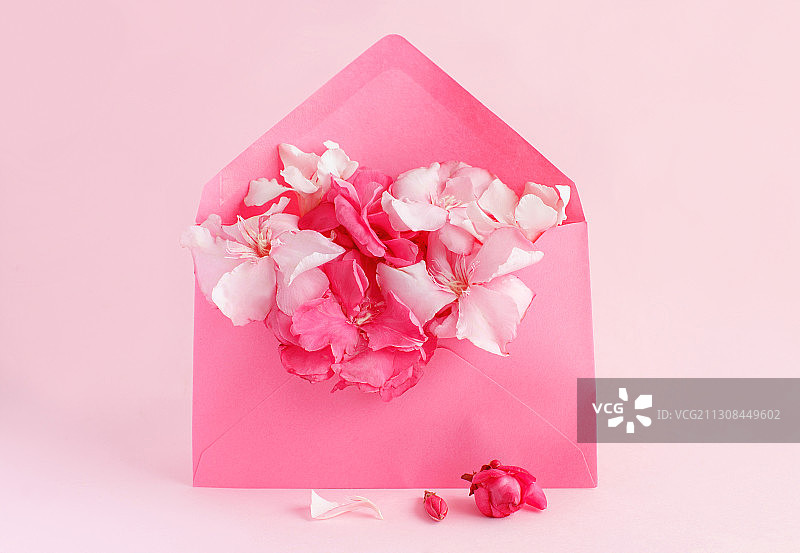 礼品盒的特写在粉红色的背景图片素材