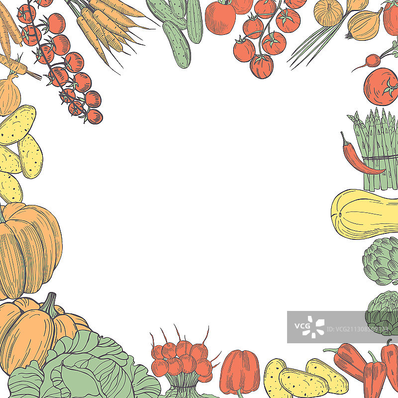 背景与手绘蔬菜素描图片素材