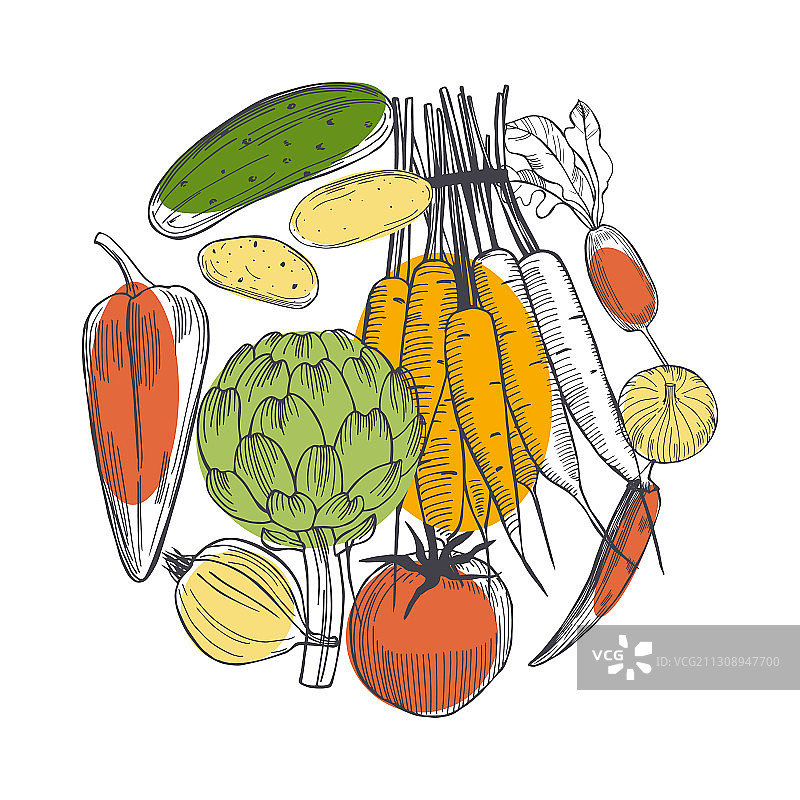在白色的圆圈上手绘蔬菜图片素材