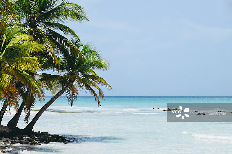 多米尼加共和国Saona岛，海对天的风景图片素材