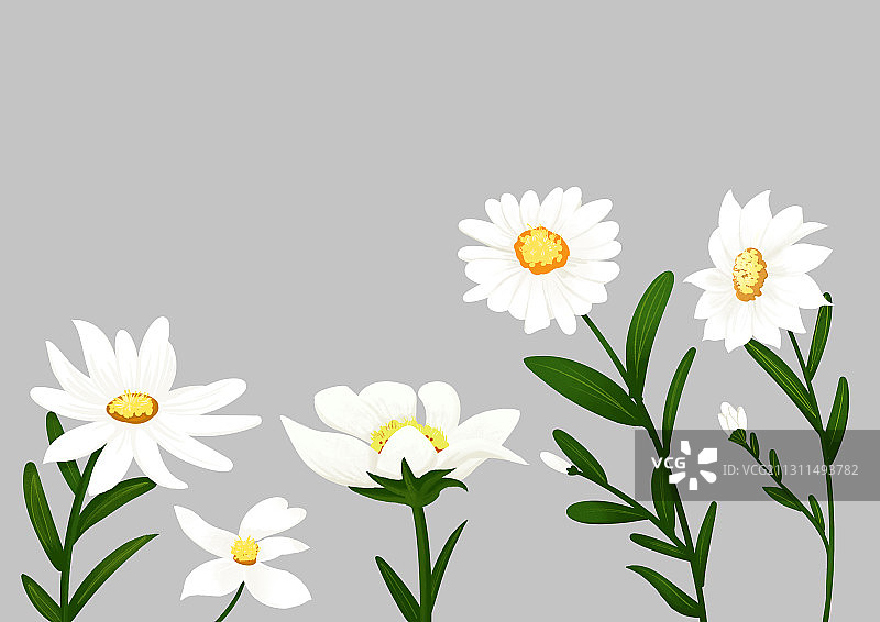 手绘卡通植物小雏菊插画图片素材