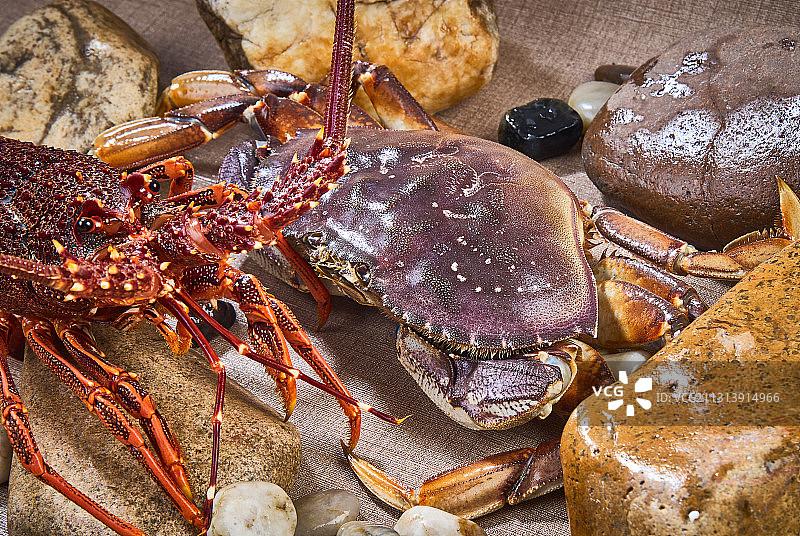 红龙虾和珍宝蟹图片素材