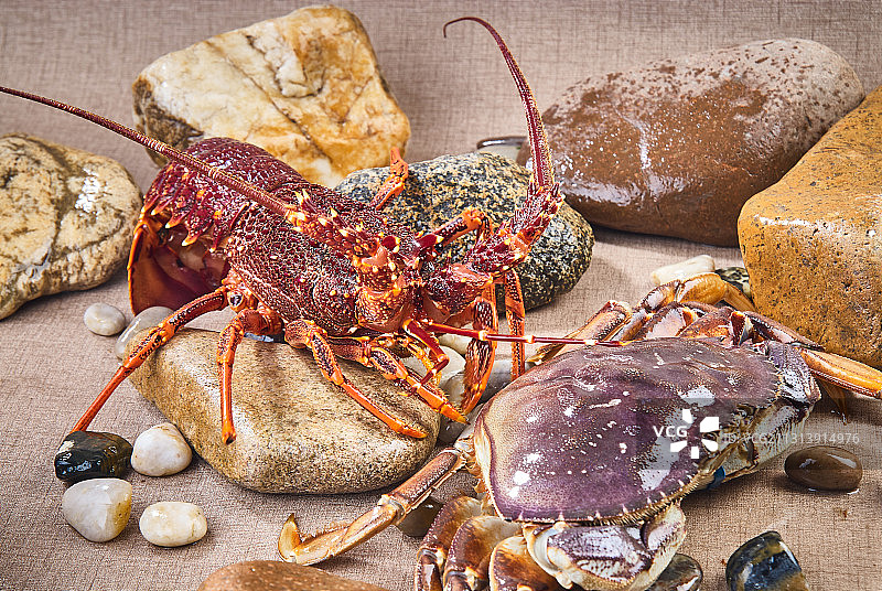 红龙虾和珍宝蟹图片素材