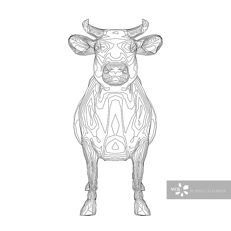 用线框把一头奶牛从白色的黑线上画出来图片素材