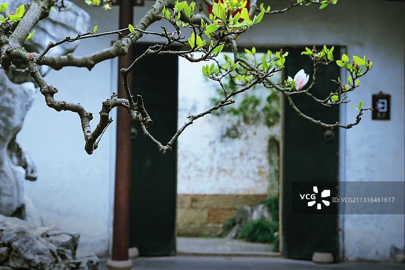 春天的苏州网师园，侧门图片素材