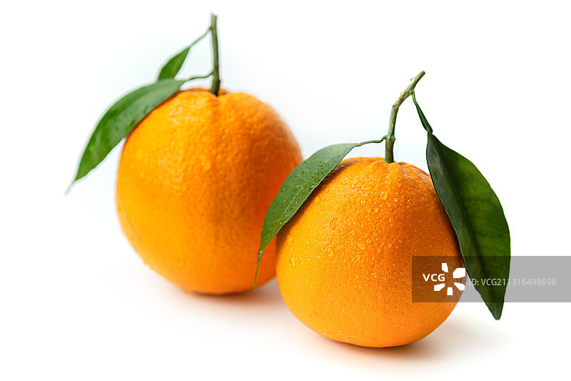 水果橙子静物摄影作品图片素材