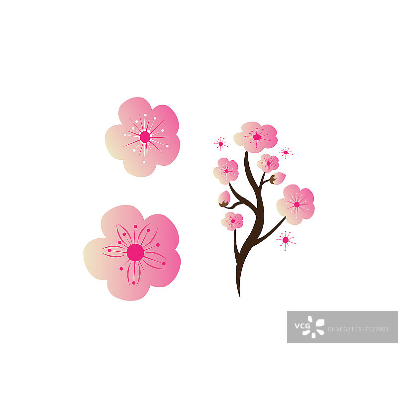 樱花美花图标设计图片素材