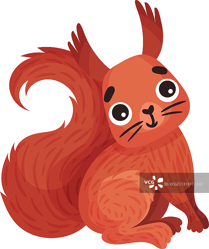 有趣的红色松鼠作为森林动物图片素材