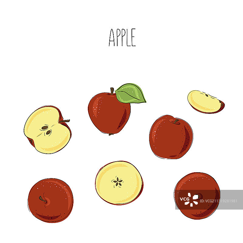 苹果手绘集速写食品图片素材