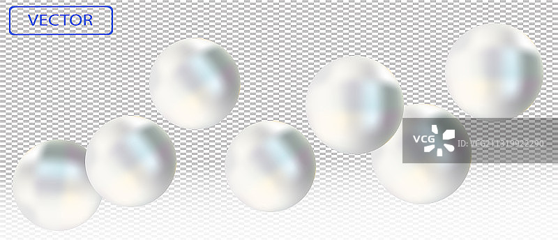 闪亮的白色海珍珠在透明的背景图片素材