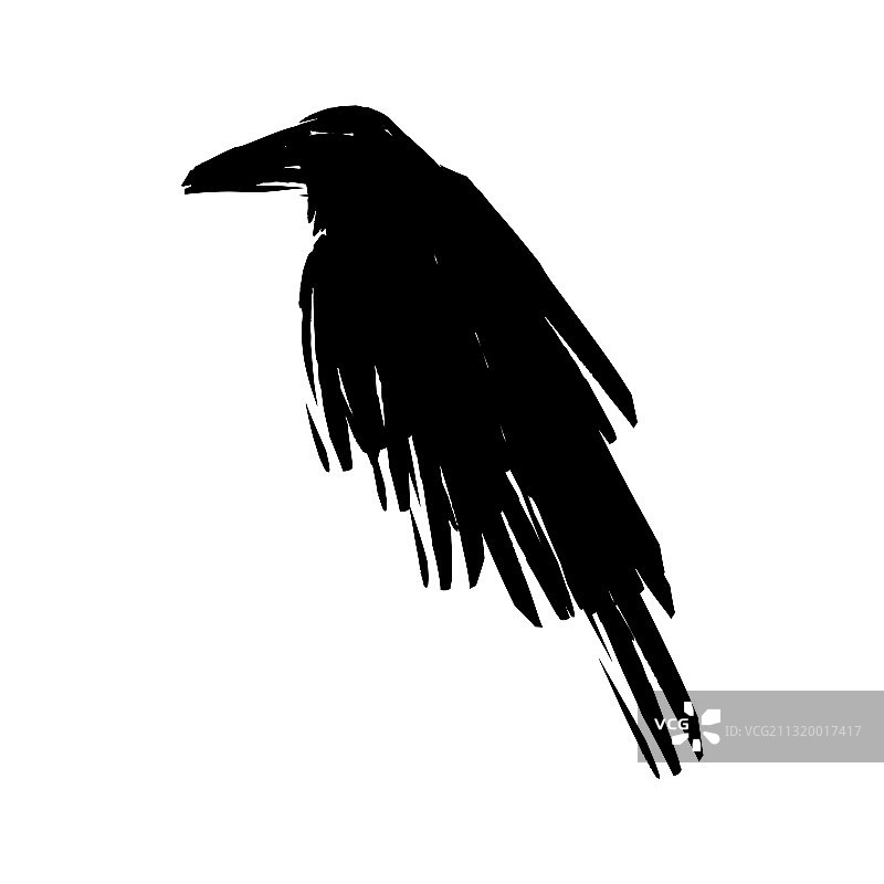 黑乌鸦轮廓图片素材