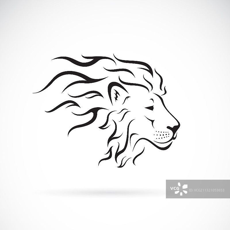 雄狮的头上设计有白色的野背景图片素材
