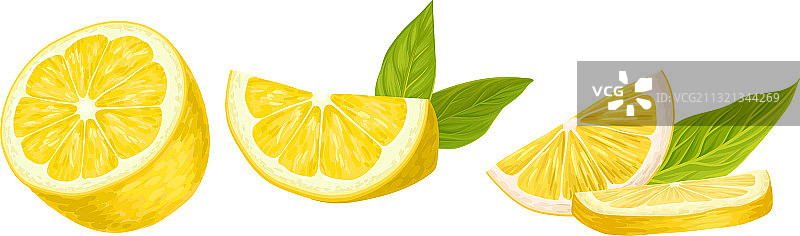 切成一半的柠檬柑橘类水果和绿叶图片素材