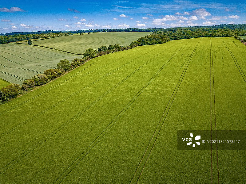 英国西克兰的农田对着天空的风景图片素材