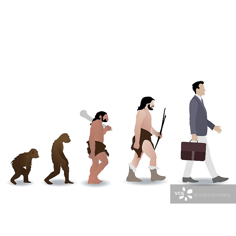 人类从猿进化为商人猴图片素材
