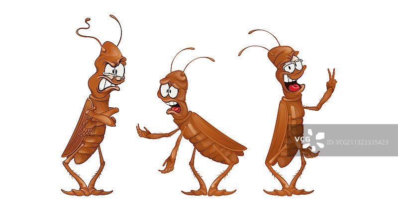 设置有趣的蟑螂卡通风格图片素材