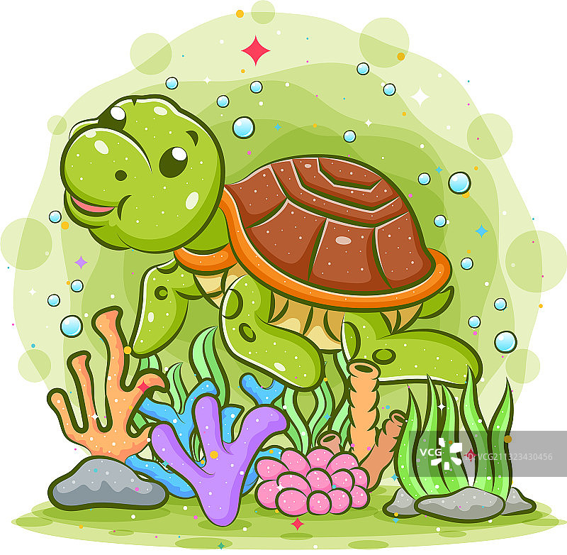 有棕色壳的小乌龟正在游泳图片素材