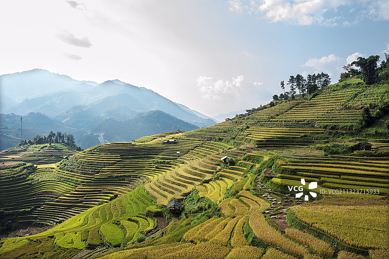 风景如画的稻田对天空，越南图片素材
