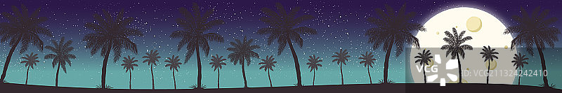 夜晚全景月亮在背景棕榈图片素材