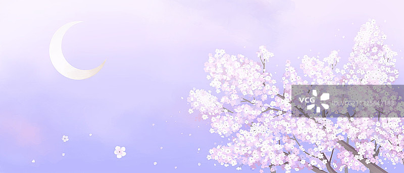 月光下的紫色樱花图片素材