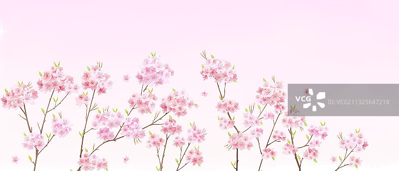 粉色樱花背景图片素材