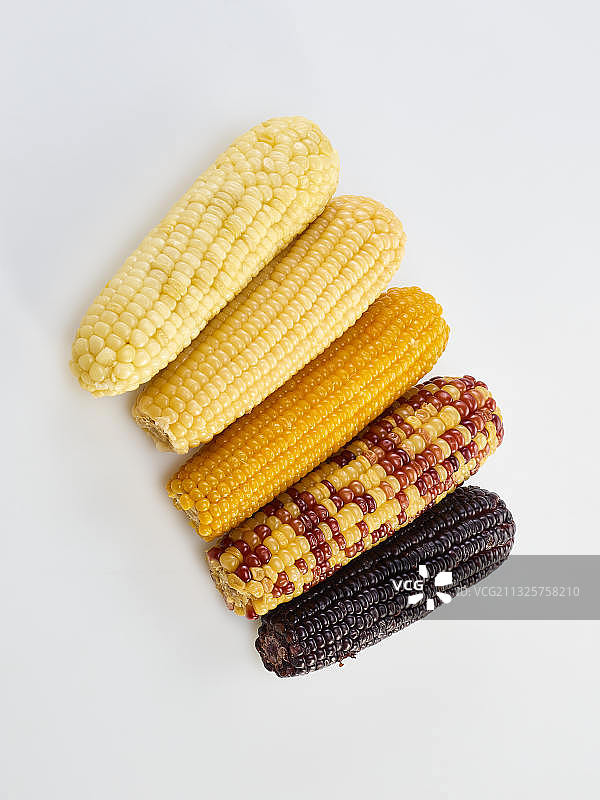 五种品种的玉米图片素材