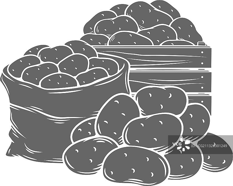 马铃薯块茎轮廓手绘单色图片素材