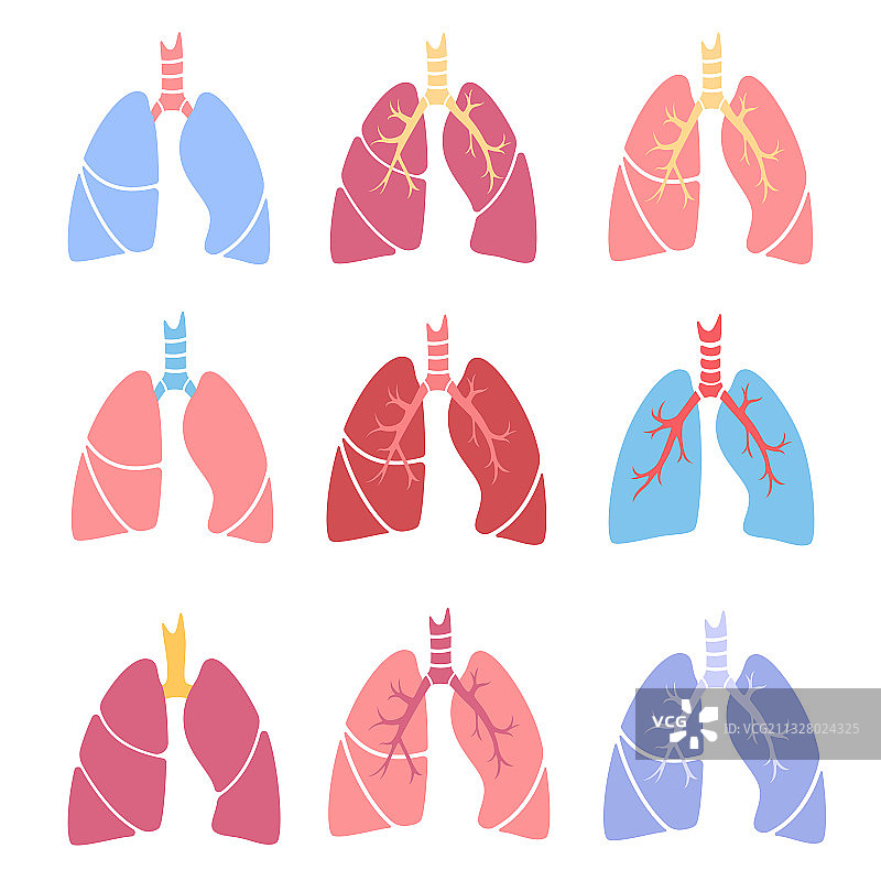 肺设置图标图片素材