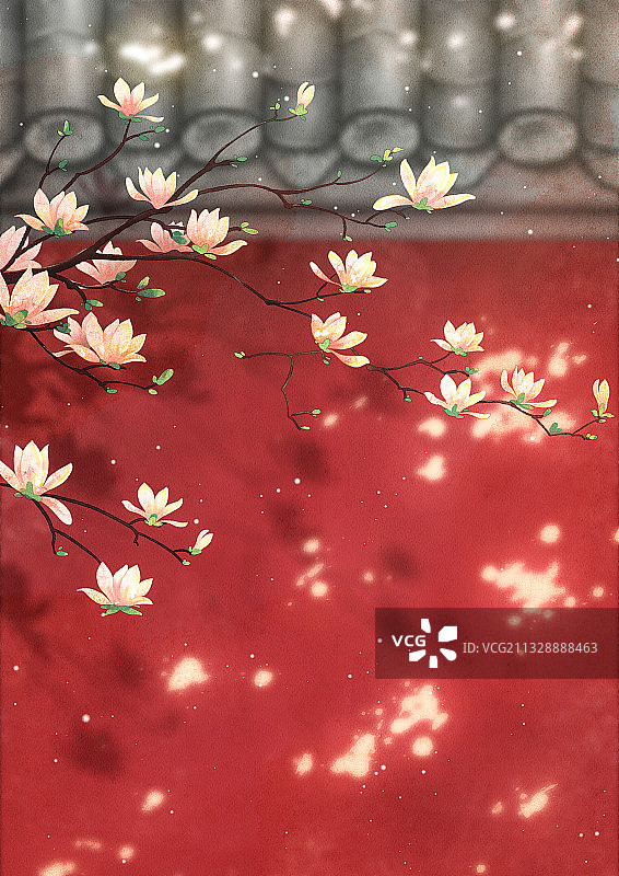 故宫红墙旁的玉兰花图片素材