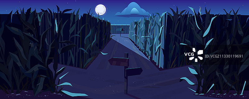 路在玉米地与岔路在夜里图片素材