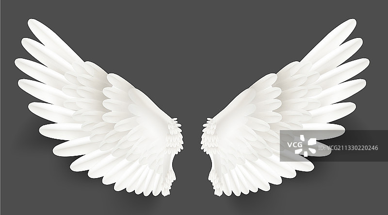 逼真详细的3d白色翅膀设置图片素材