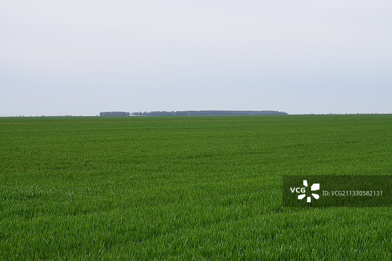 罗马尼亚晴朗的天空映衬下的农田景色图片素材