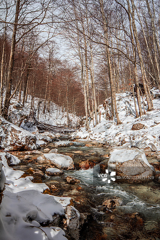 意大利冬天森林里的河流风景图片素材