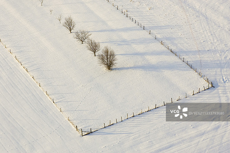 摩泽尔河上白雪覆盖的田野上的一排树木图片素材