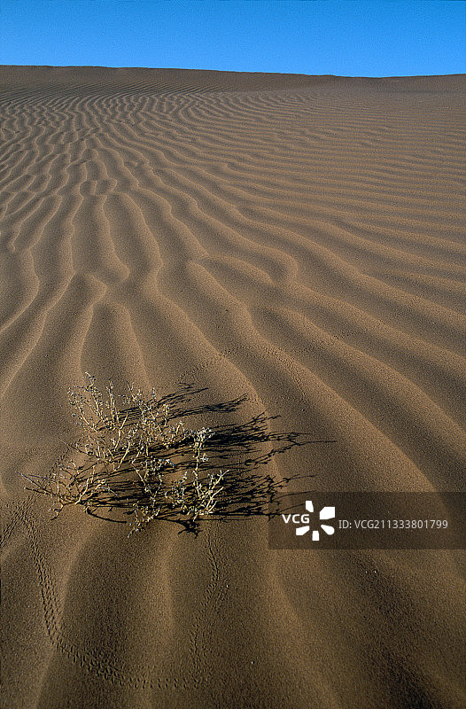靠近摩洛哥南部Mahmid的沙丘图片素材