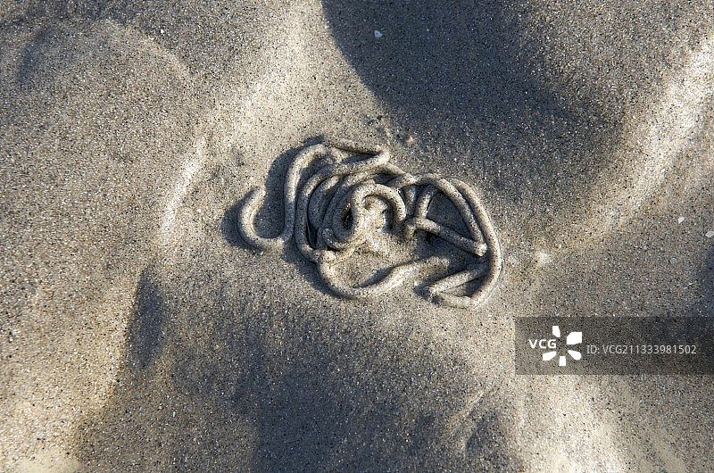 扭曲的沙子由蚯蚓、蚯蚓法国形成图片素材