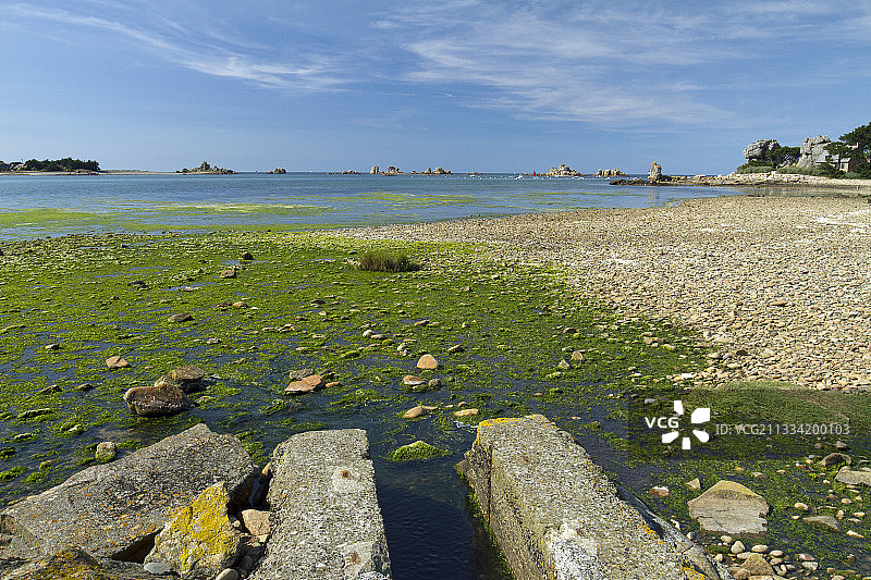 绿藻(石莼spp)在一个沟渠的出口，Porz Scaff, Plougrescant, Côtes-d'Armor，布列塔尼，法国图片素材