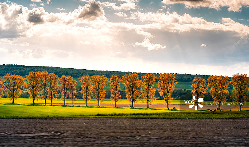 秋天，田野上的树木映衬着天空图片素材